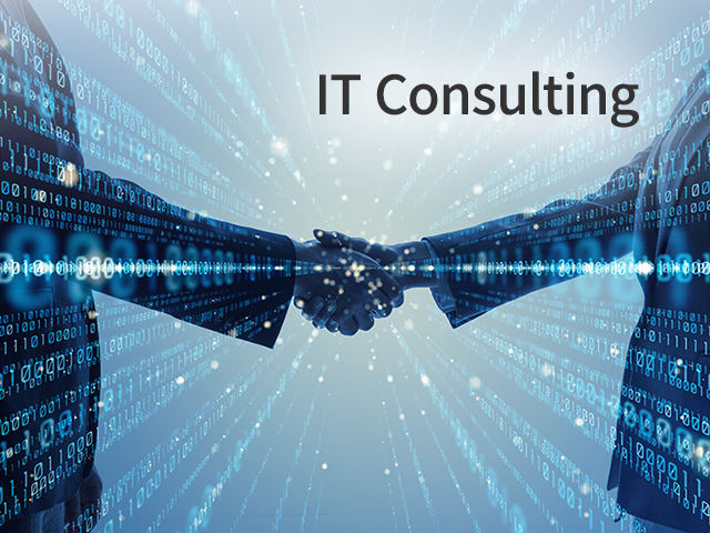 IT Consulting & System Integration